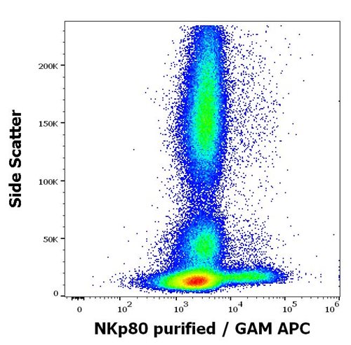 Anti-Hu NKp80 Purified (Clone: 5D12)